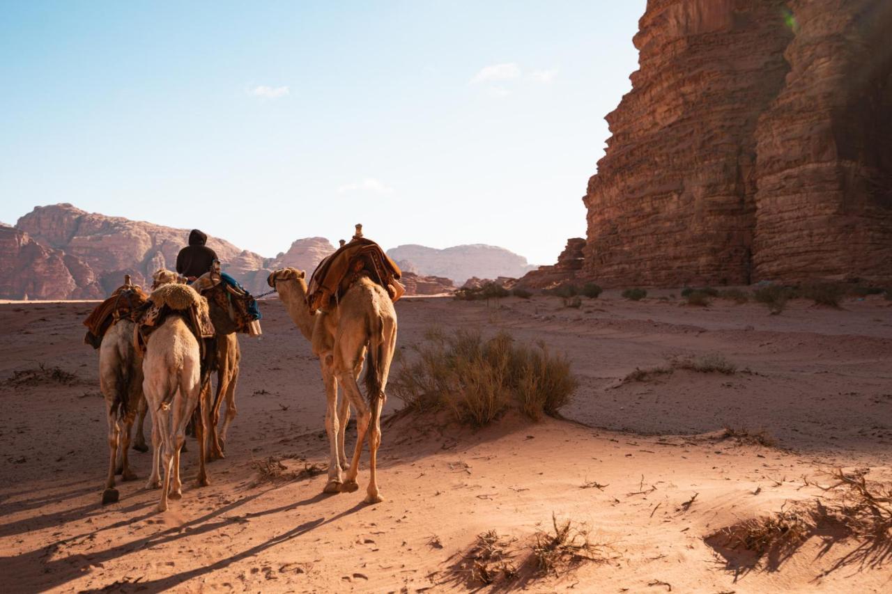 Stars Life Camp-Tour Hotel Wadi Rum Esterno foto