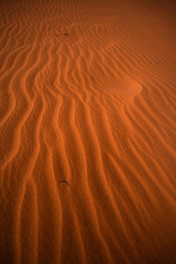Stars Life Camp-Tour Hotel Wadi Rum Esterno foto